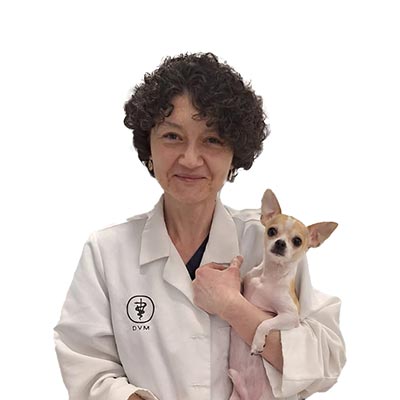Andra Dumitrescu, Veterinarian Andra Dumitrescu, Veterinarian